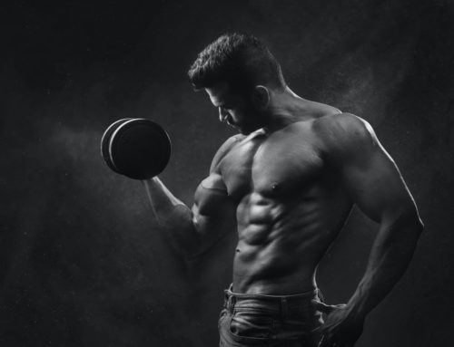 Le Développement Musculaire – Partie 1 : Les Deux Approches Majeures